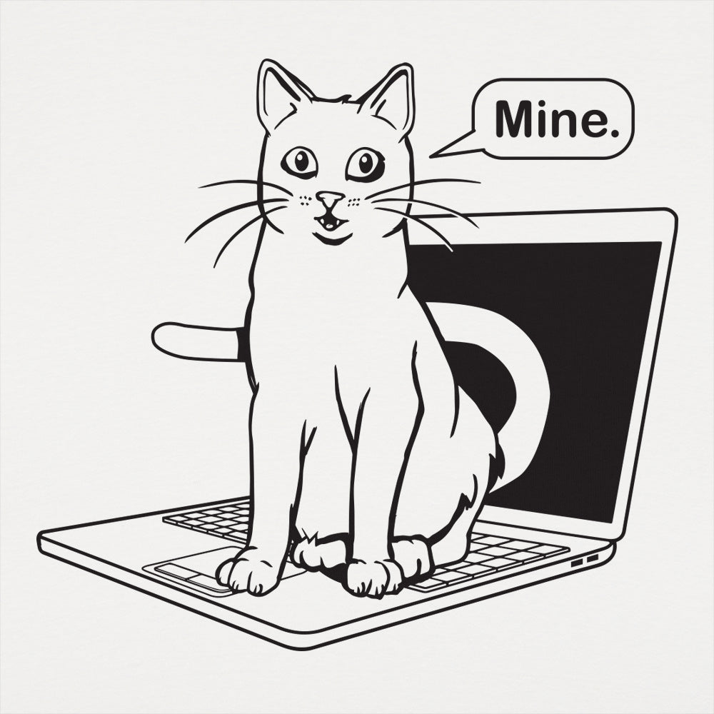 Cat Conquers Laptop