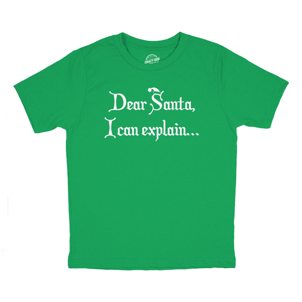 Dear Santa, I Can Explain Youth T Shirt