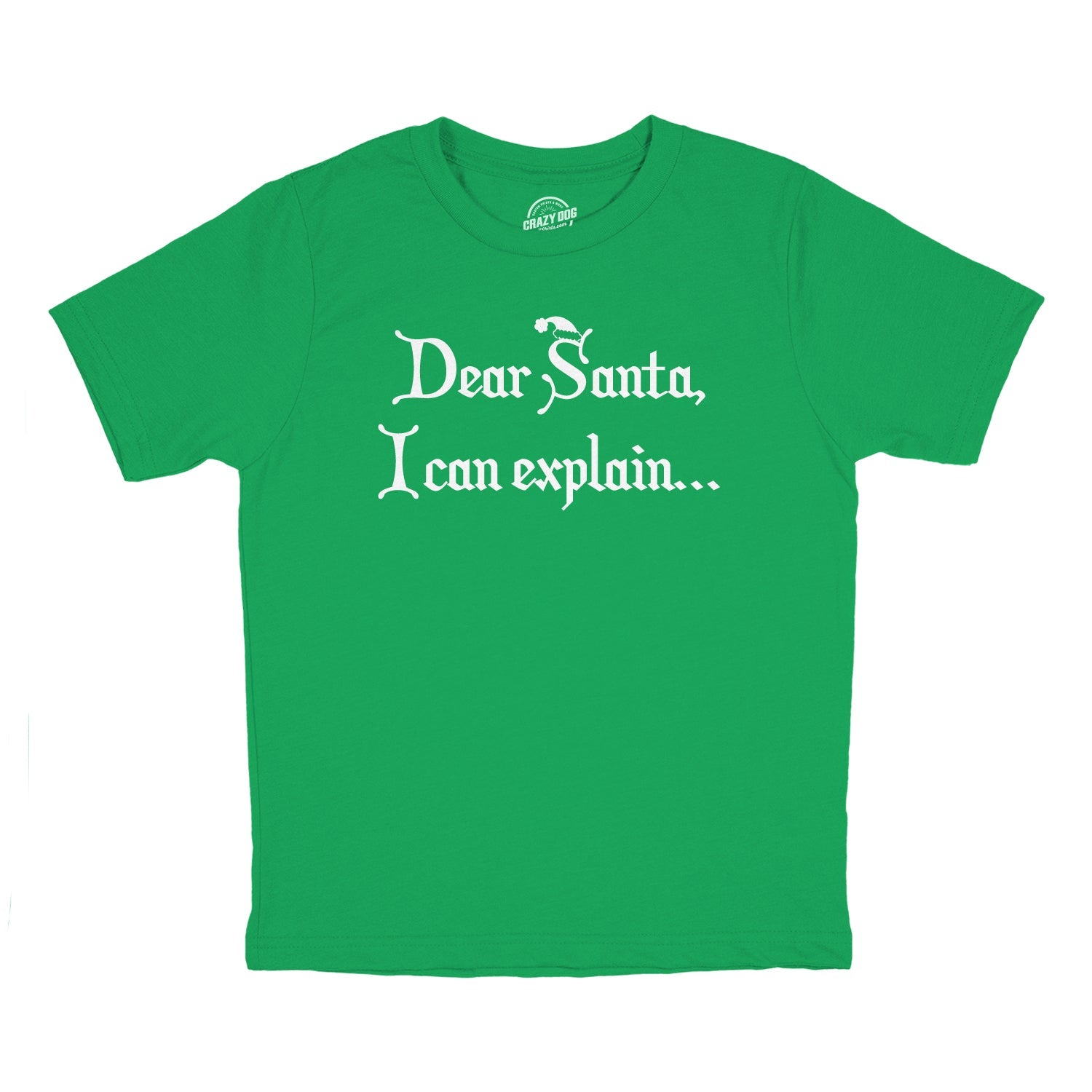 Dear Santa, I Can Explain Youth T Shirt