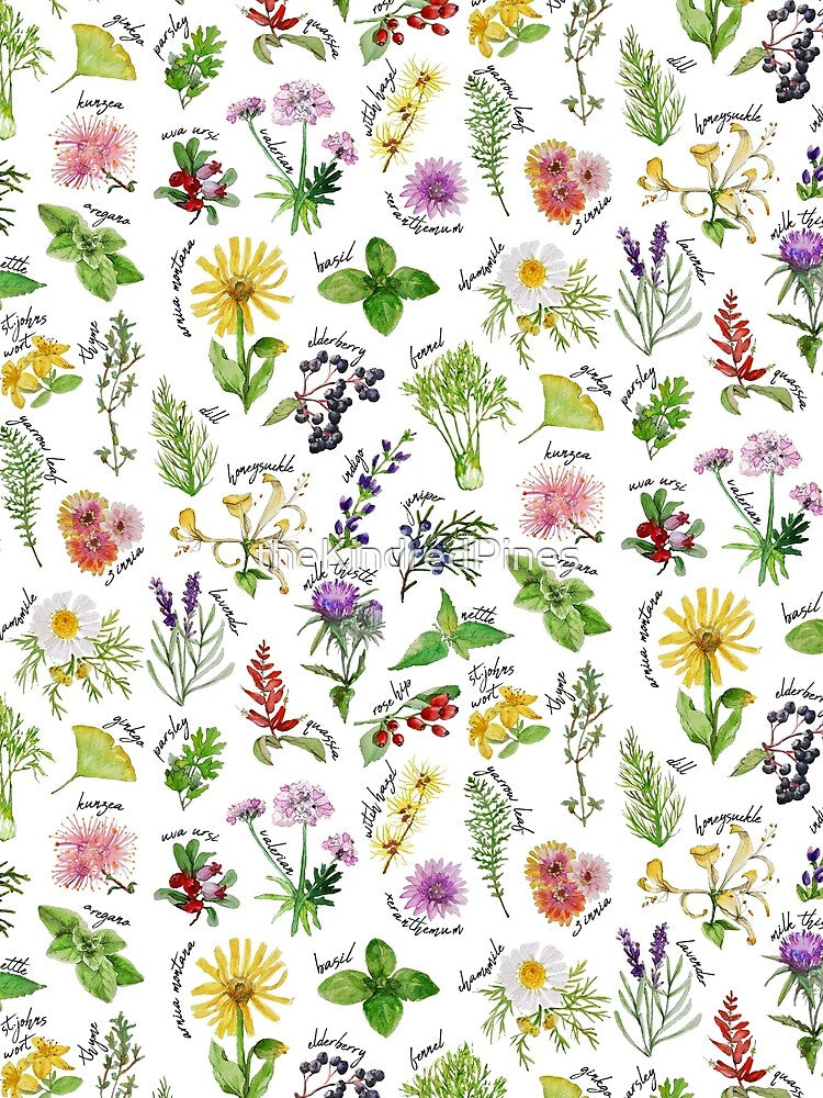 Plants & Herbs Alphabet by theKindredPines
