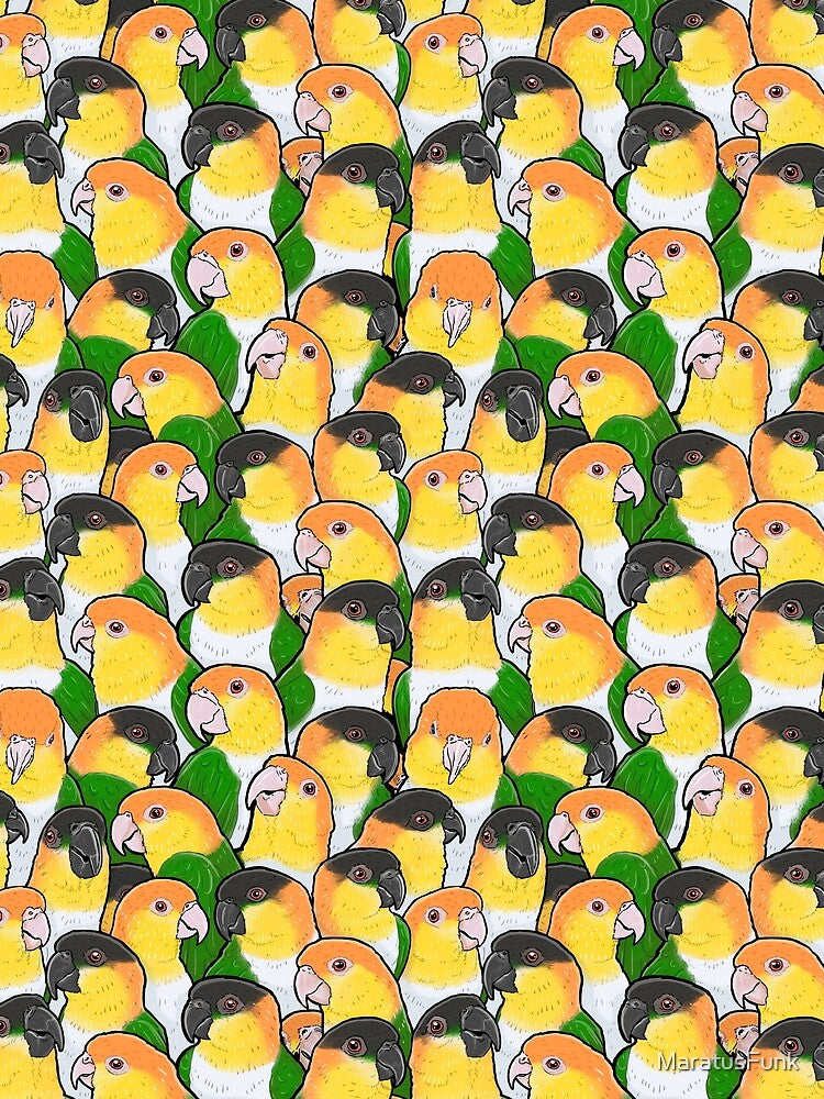 Caique Parrots by MaratusFunk