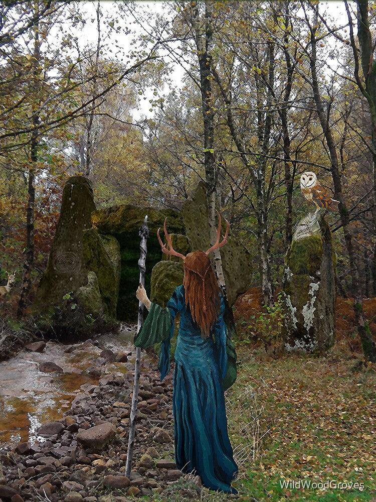 The Journey Begins by WildWoodGroves