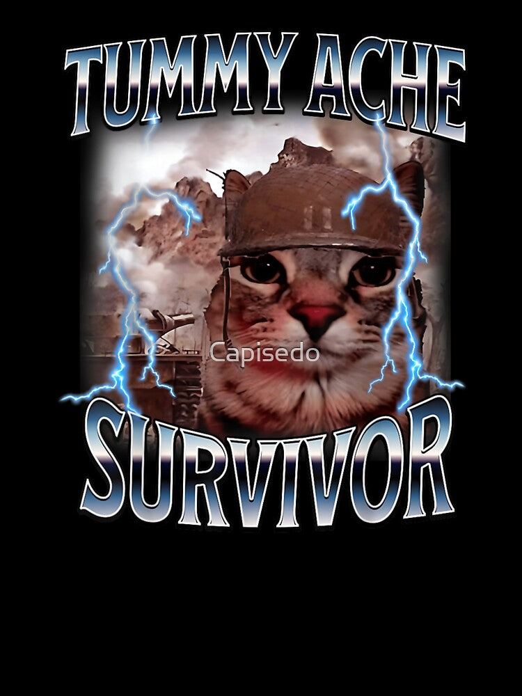 Tummy Ache Survivor Soldier Cat Wearing Helmet Lightning Meme Soldier Cat Art by Capisedo