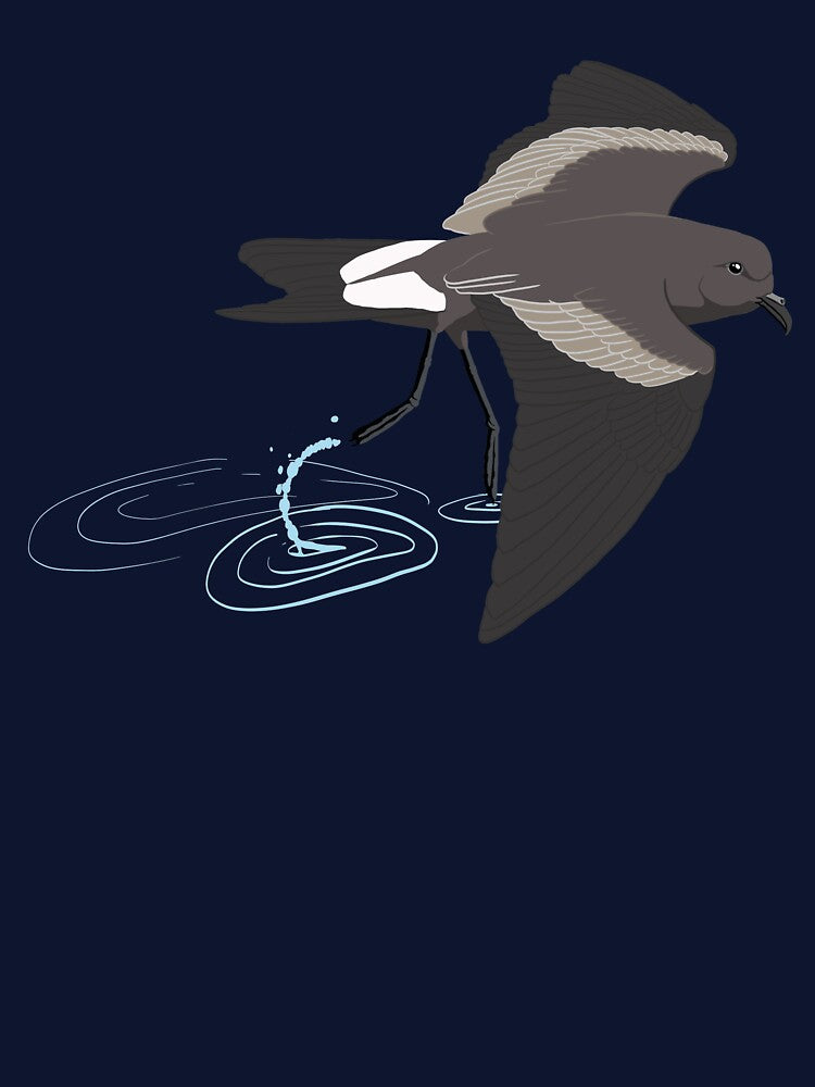 Leach's Storm-Petrel by BennuBirdy