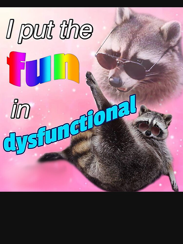Racoon Meme: I put the fun in dysfunctional by Greg Heffley