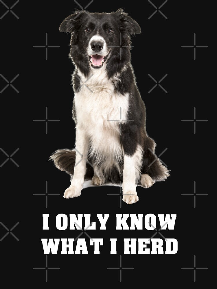 Border Collie I Only Know What I Herd by weirdrelatives