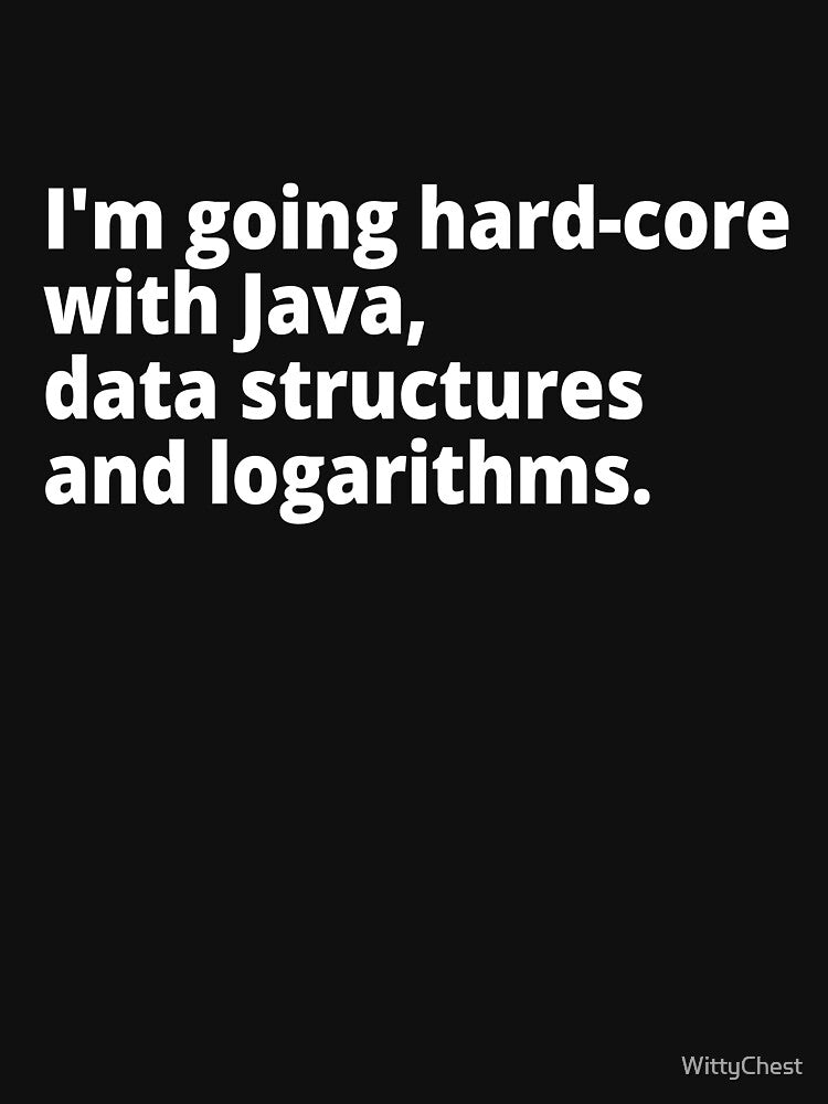 I'm going hardcore with Java, data structures, and logarithms. by WittyChest
