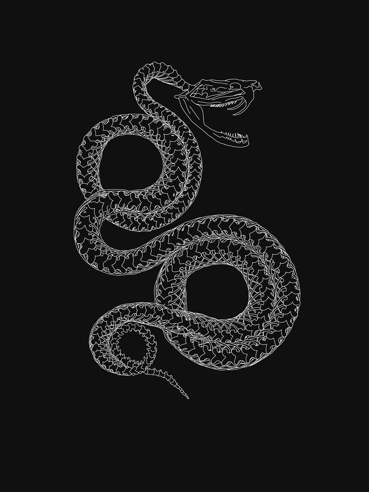 Skeleton Snake by ajw-art