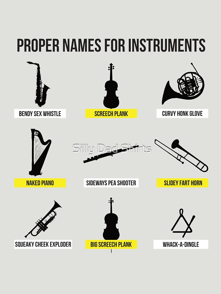 Proper Names for Musical Instruments Funny Musician Gift by Silly Dad Shirts