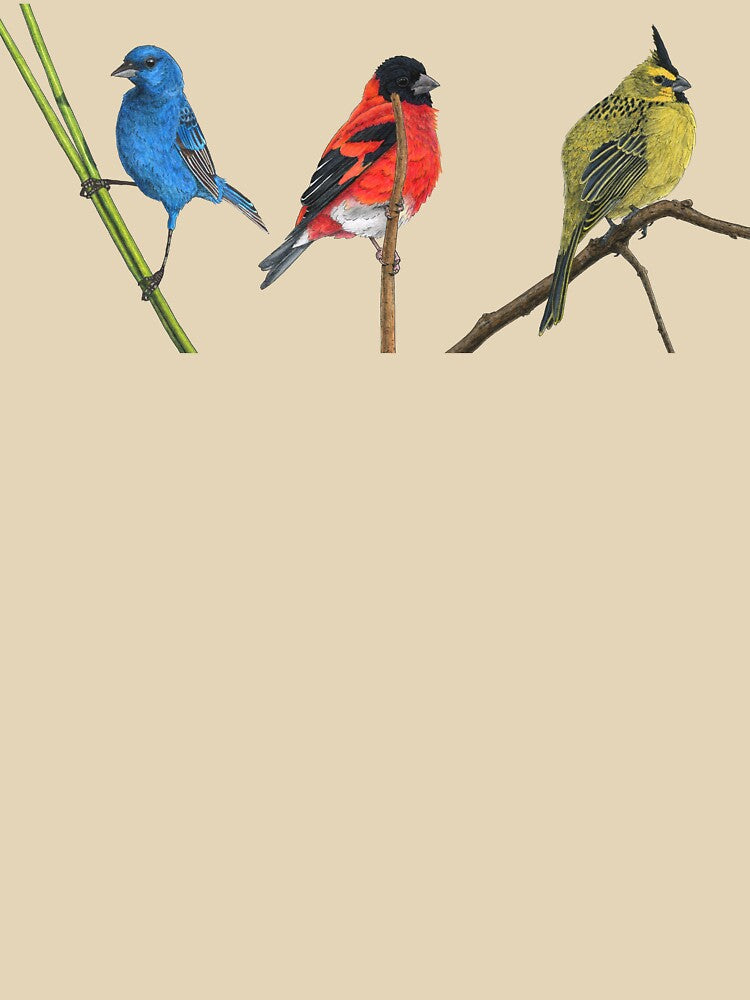 Three little birds in primary colours by paperbirdstudio