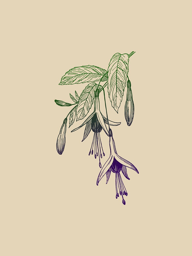 Hanging Flower by Zandrosa