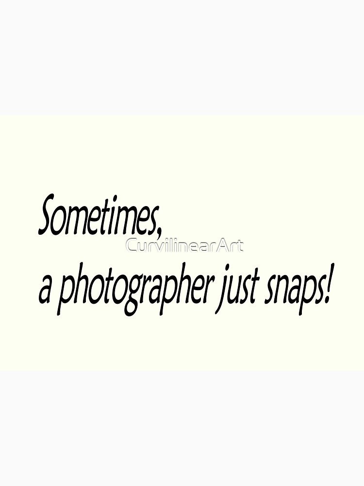 Sometimes, a photographer just snaps! by CurvilinearArt