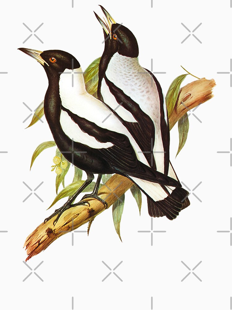 Australian Magpie - Bird Illustration - John Gould by karwilberevivalcollection