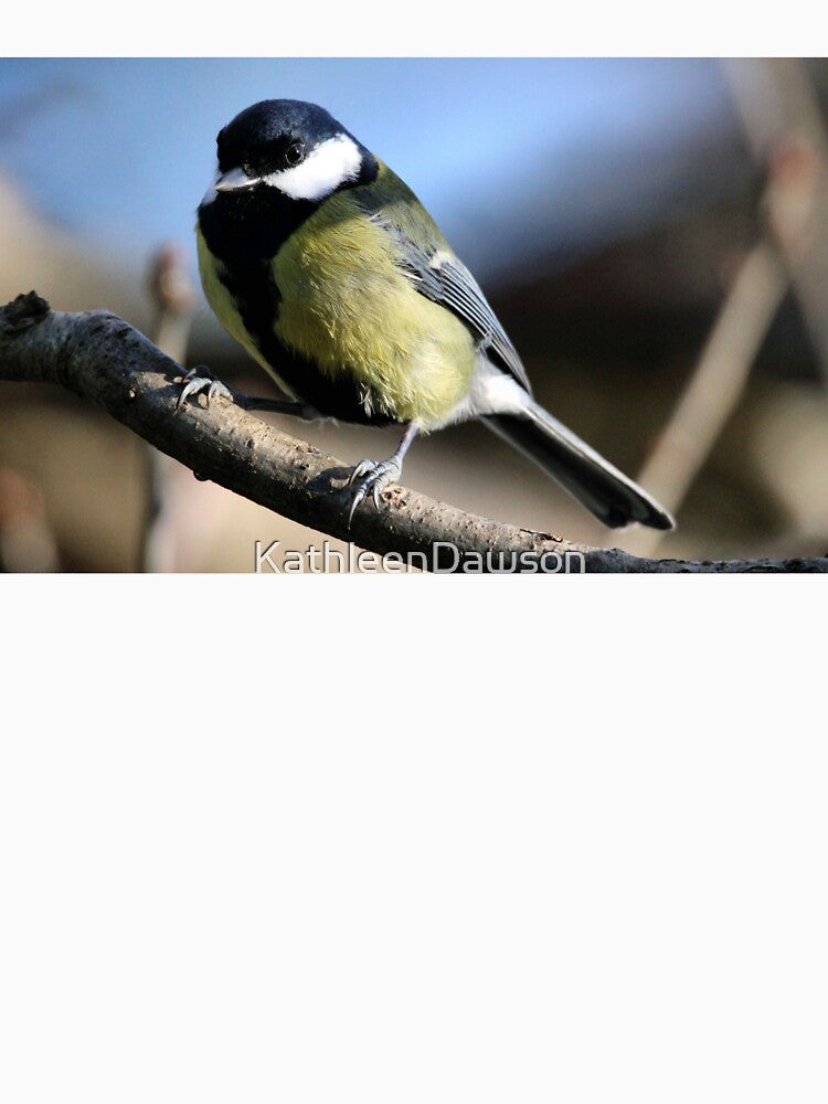 great tit by KathleenDawson