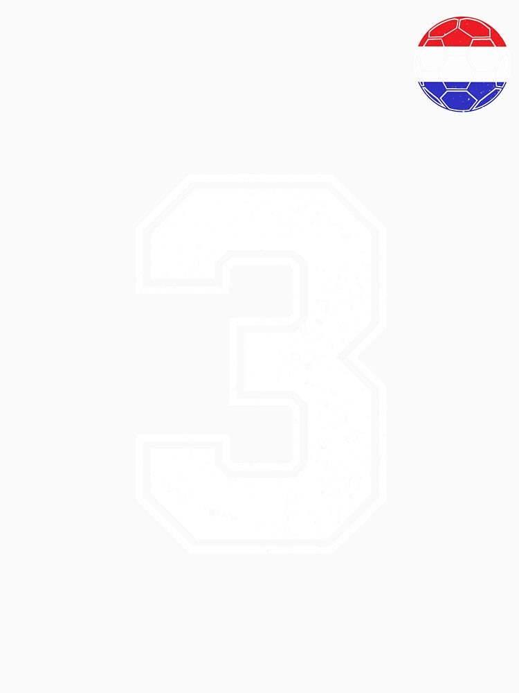 Netherlands Soccer Number 3 Vintage Sports Fan by LiviuGligoros