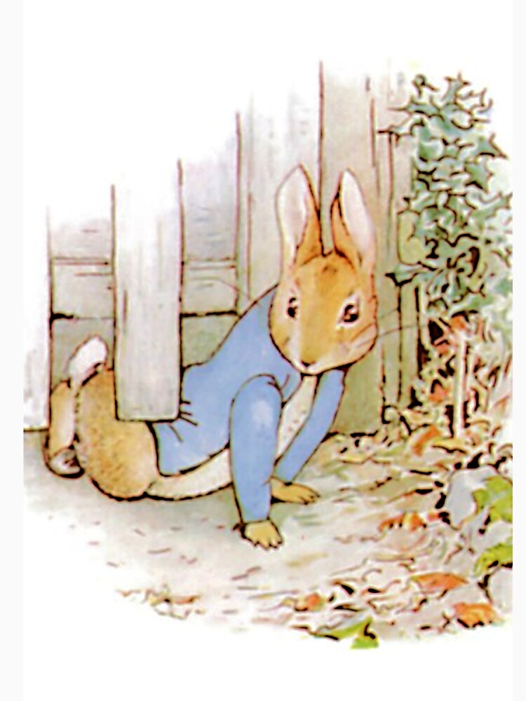 Beatrix Potter - Peter Rabbit escapes by QualitySolution