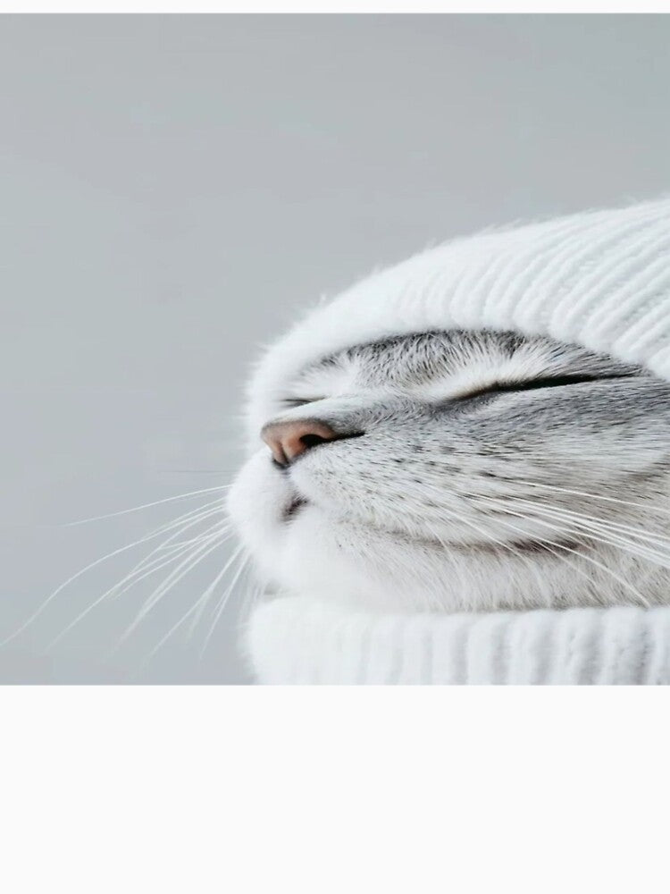 cat by Antiry