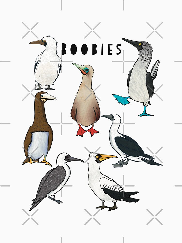 Boobies Bird Family, Puns, Facts by Ilana Ewing Designs