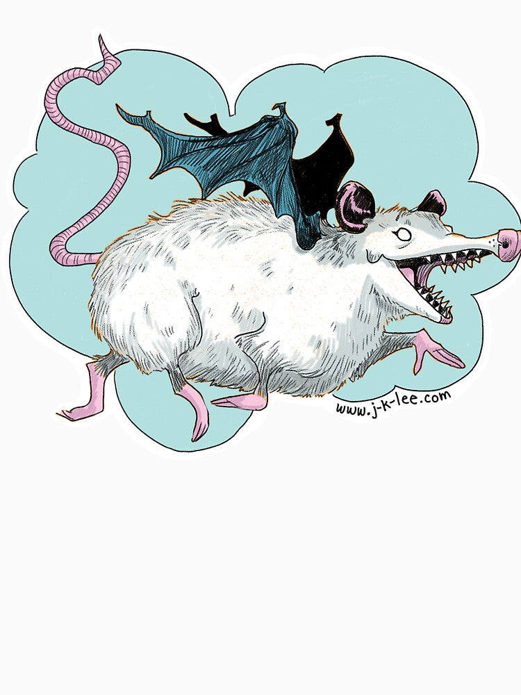 Flying Possum by Janet Lee