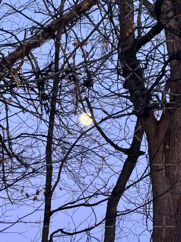 Peeking moon by Fellowship23