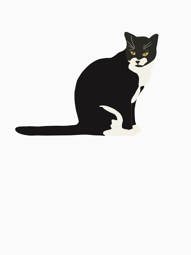 Hogan the Cat by Florescence Holistic