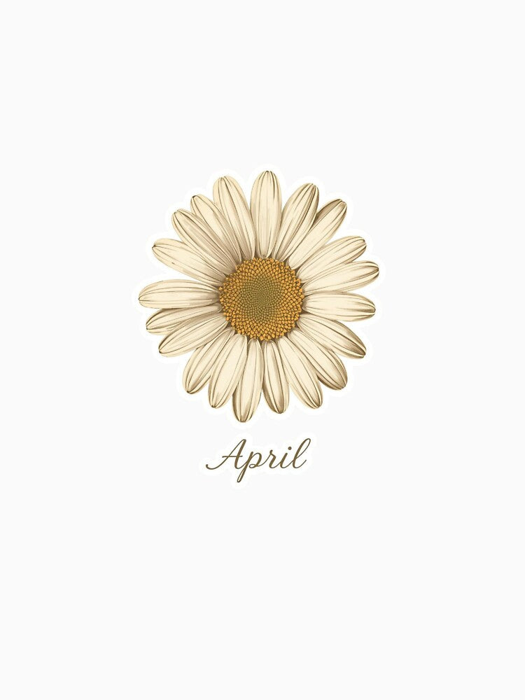 April Birth Flower - Daisy by AnnaMazingShop
