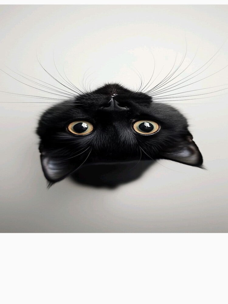 hi cat by Antiry