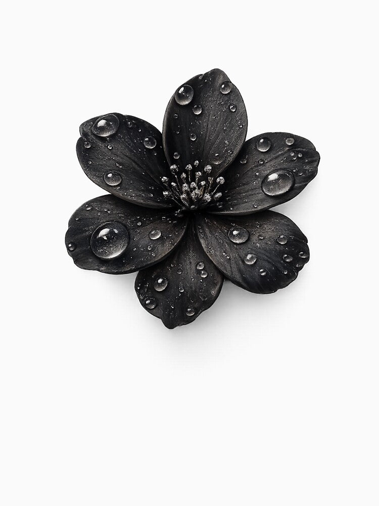 Black Flower With Water Drops Transparent by MKVisions