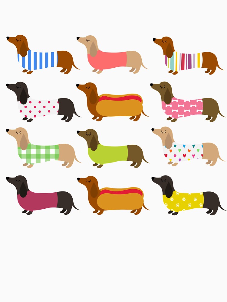COLORFUL DACHSHUND by BONMOTSSHOP