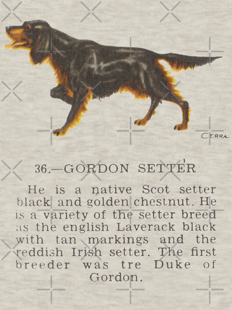 Matchbox Dogs: Gordon Setter by sleepyhenry