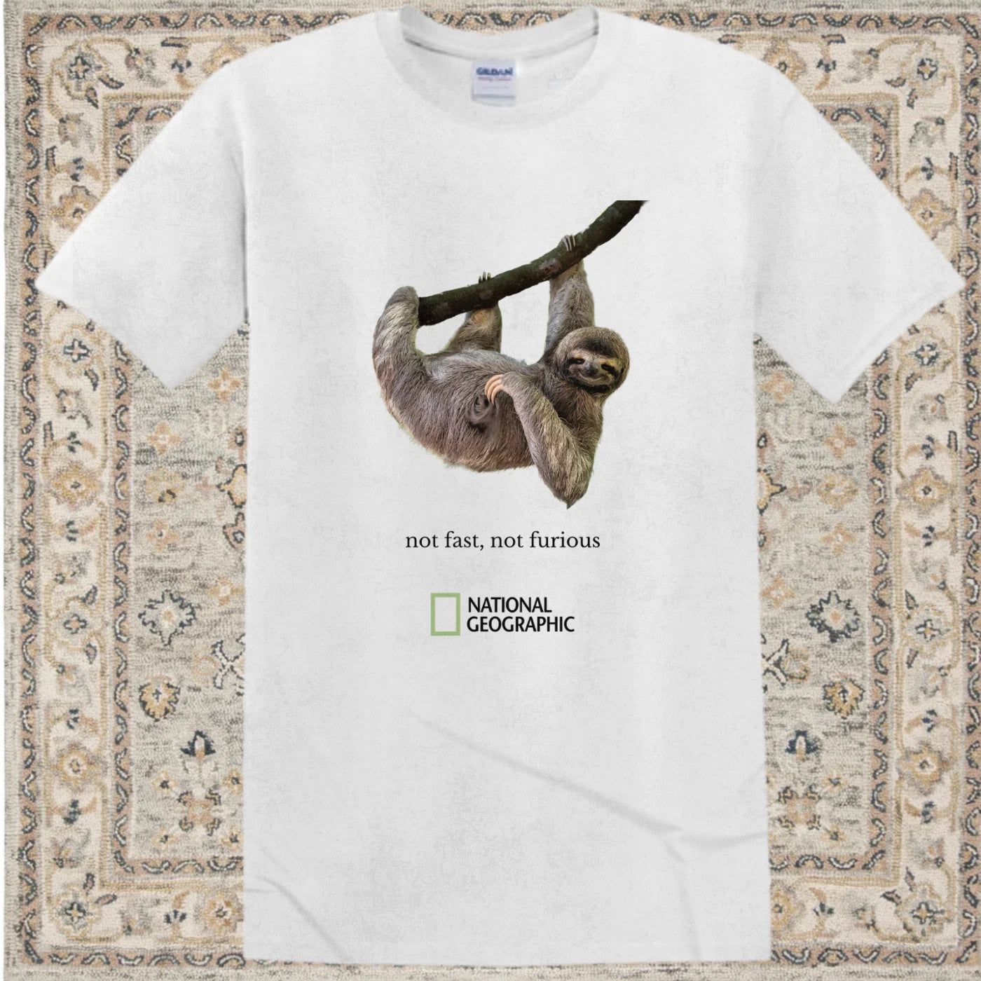 Vintage animal Nat Geo inspired 'not fast, not furious' Sloth Tee New, Gildan M