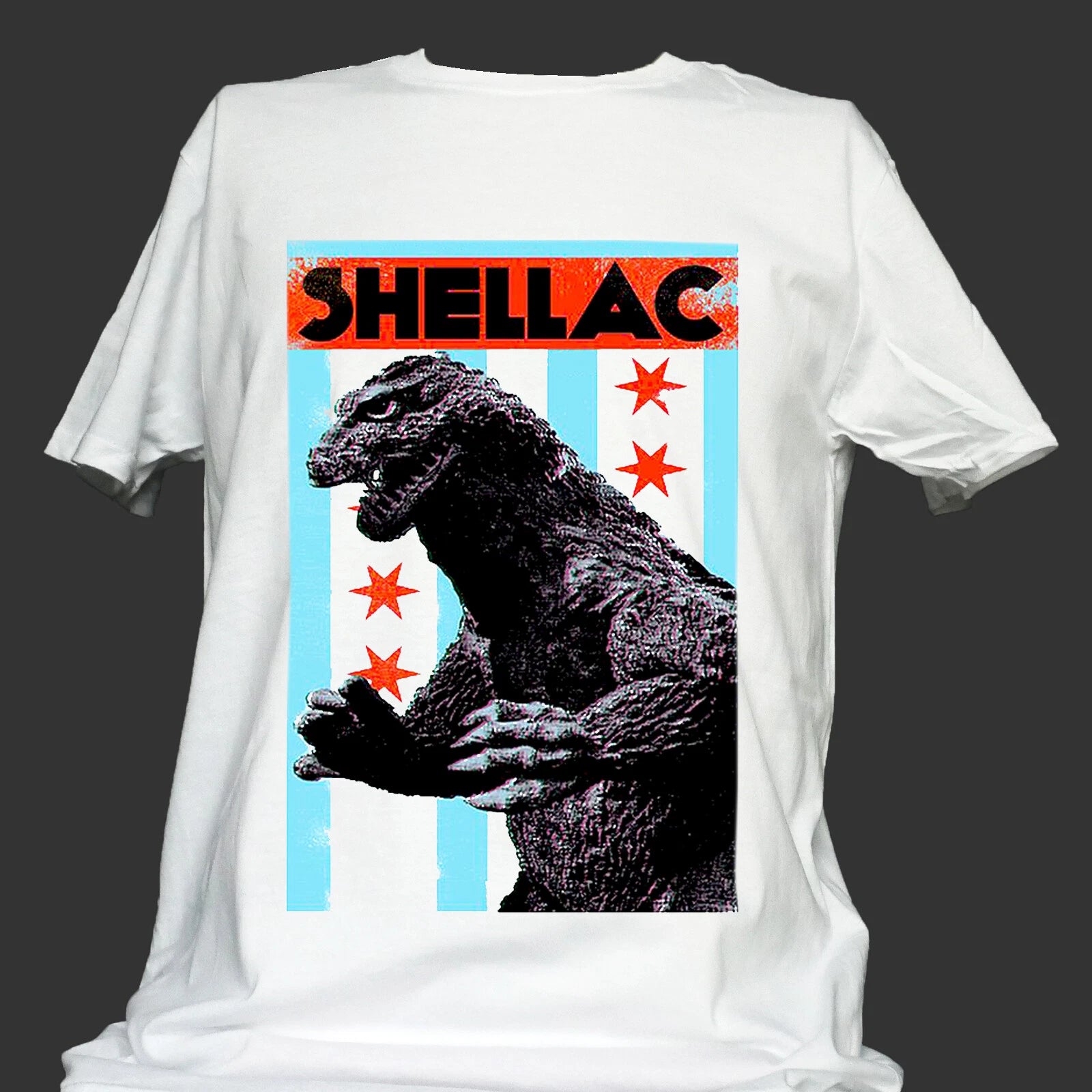 SHELLAC PUNK ROCK HARDCORE METAL T-SHIRT unisex S-3XL