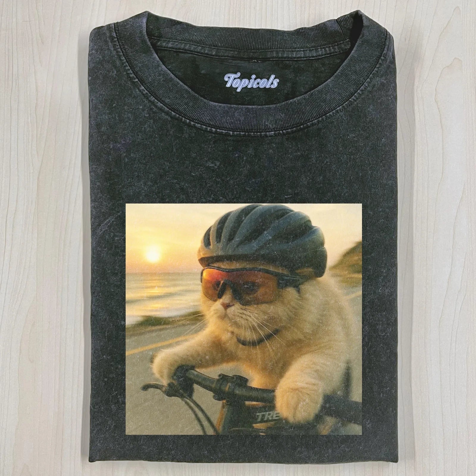 Cute Cat Bicycle T-Shirt Vintage Oversized Funny Meme Cat Graphic Tee