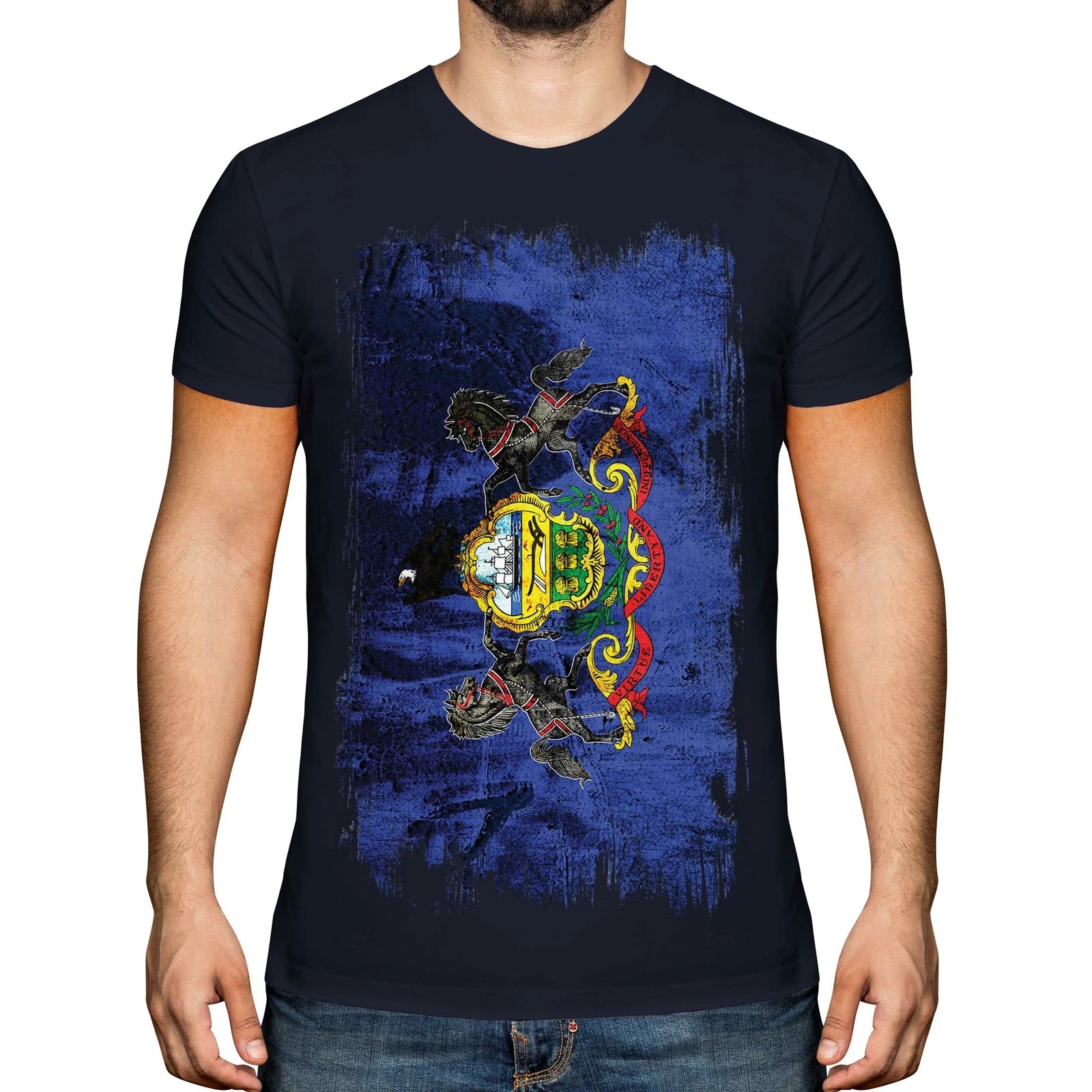 PENNSYLVANIA STATE GRUNGE FLAG MENS T-SHIRT TEE TOP PENNSYLVANIAN SHIRT GIFT