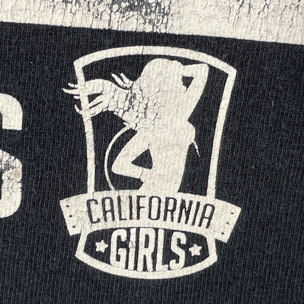 VTG Y2K California Girls USA Palms Flag T-Shirt Adults Unisex XL Black Graphics
