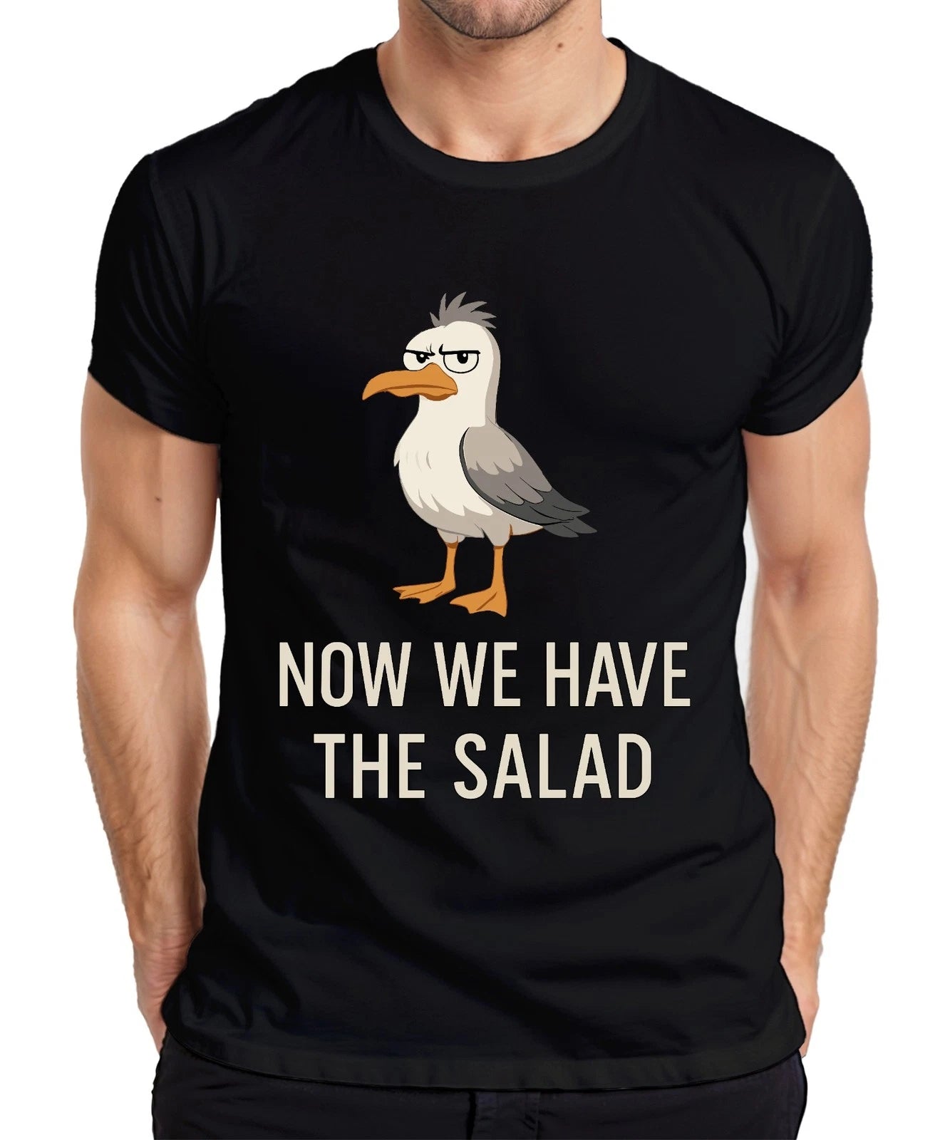 Now We Have The Salad Seagull Sarcastic Funny Cartoon Coast Mens T-Shirt