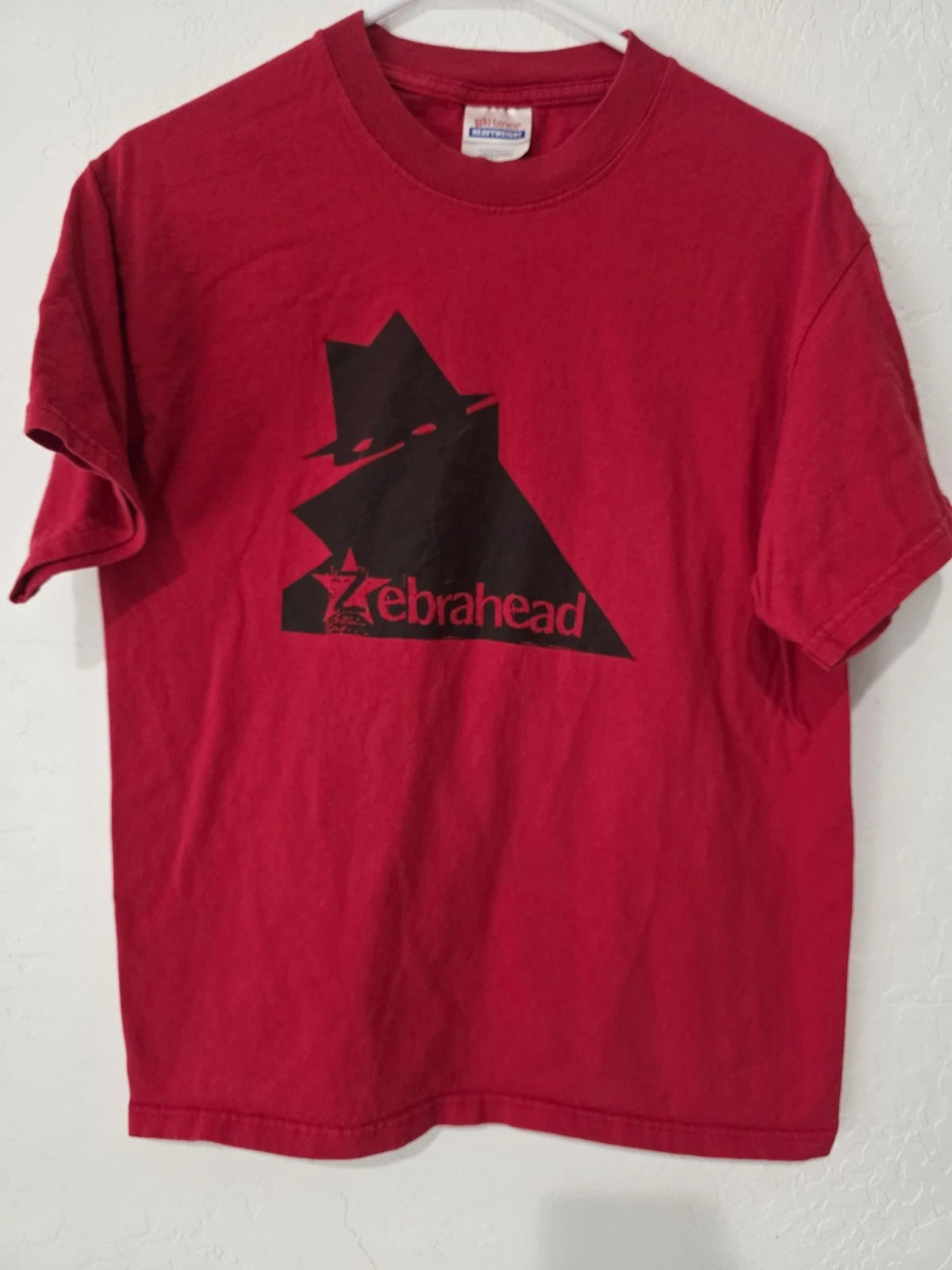 Vintage Y2K Zebrahead Band Shirt