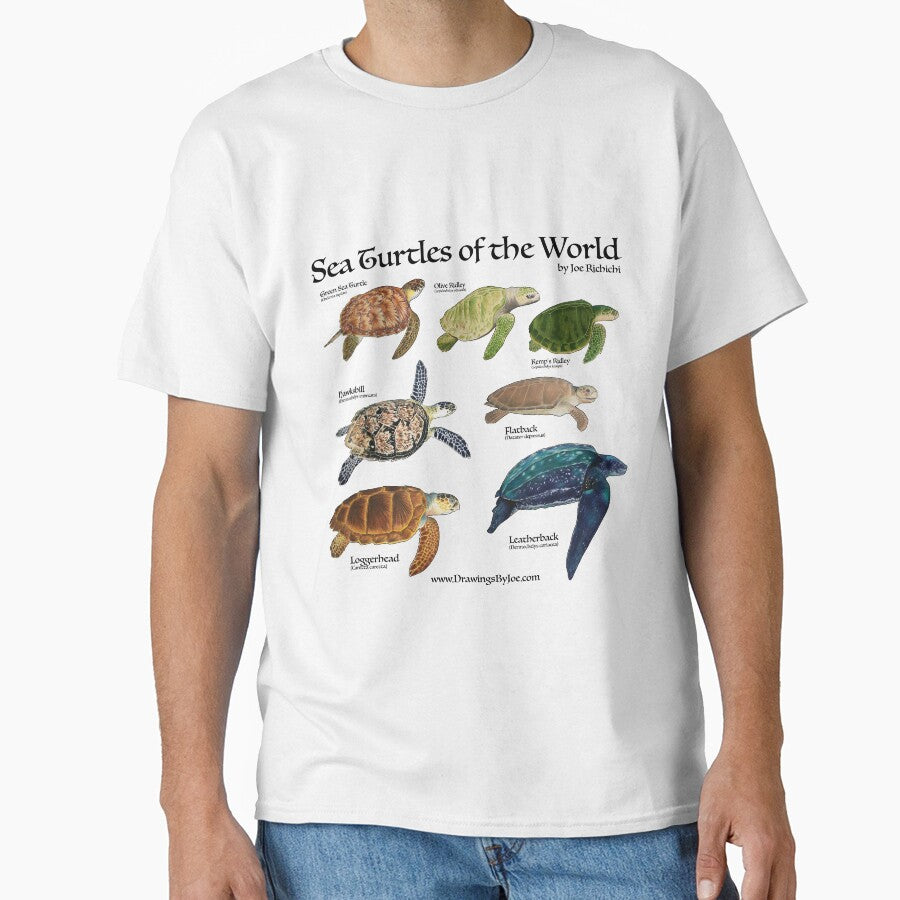 Sea Turtles of the World by Joe Richichi