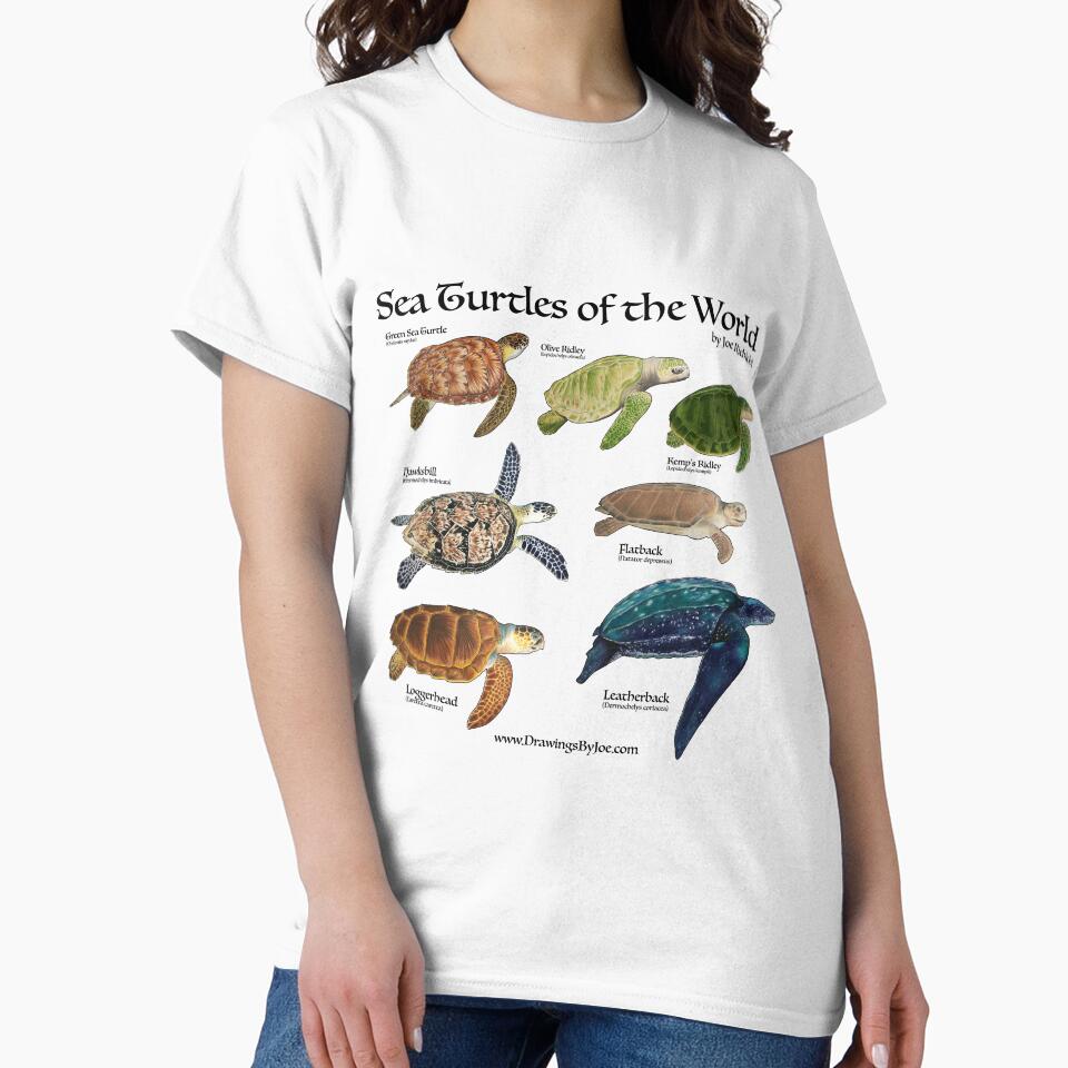 Sea Turtles of the World by Joe Richichi