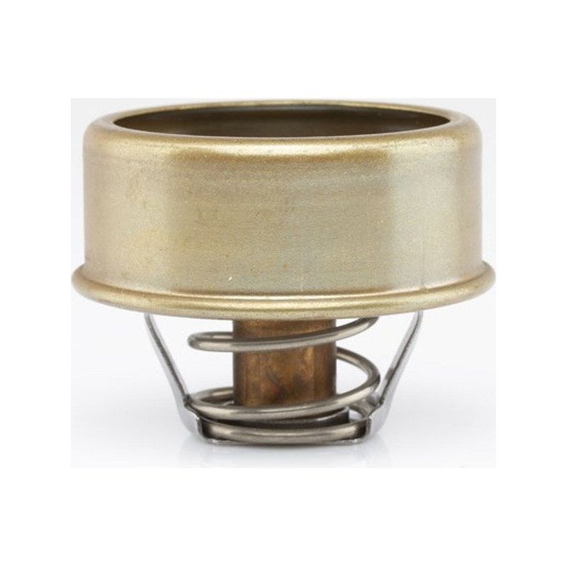 Tridon Thermostat TT238-170