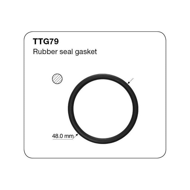 Tridon Thermostat Gasket TTG79