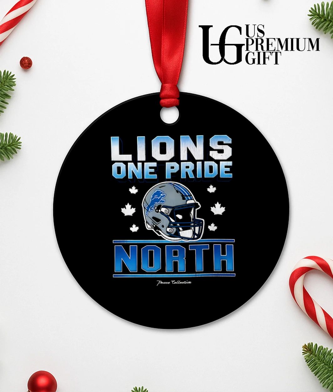One Pride North Detroit Lions helmet shirt
